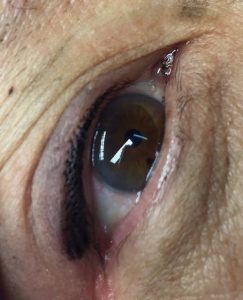 Lash Enhancement Kelowna